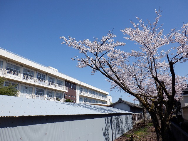 ４月１０日の桜景色